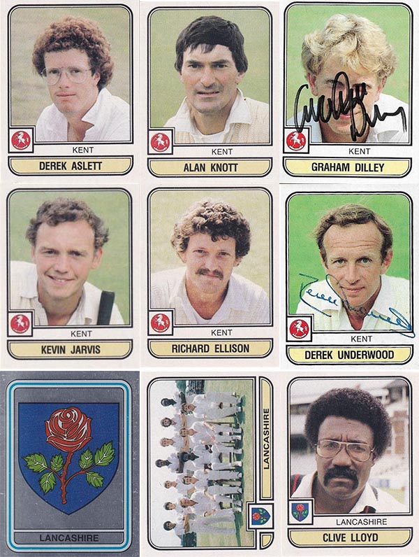 Panini 1983 World Of Cricket Stickers (268)