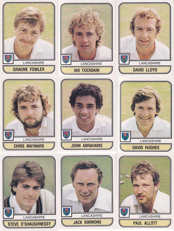 Panini 1983 World Of Cricket Stickers (268)