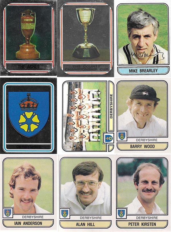 Panini 1983 World Of Cricket Stickers (268)
