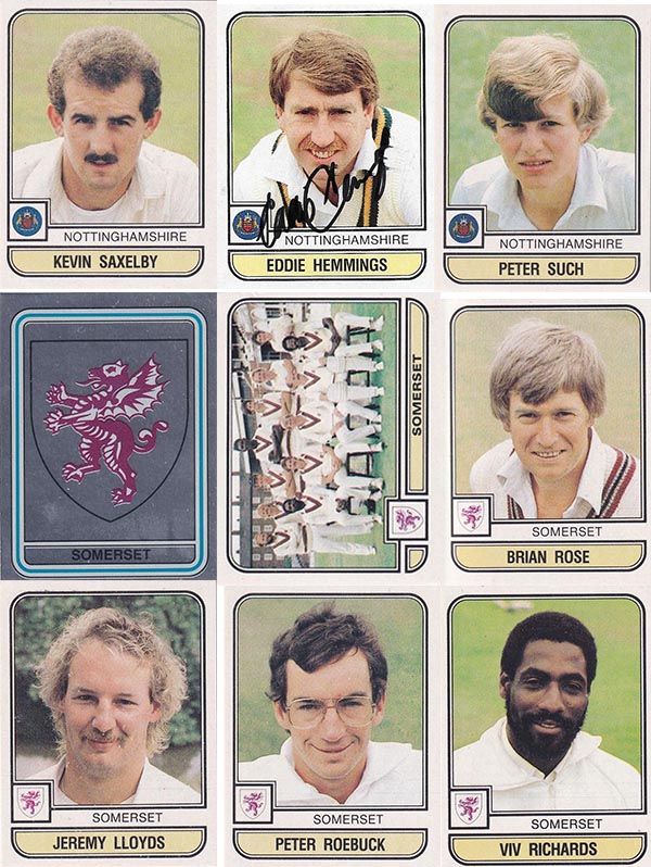Panini 1983 World Of Cricket Stickers (268)