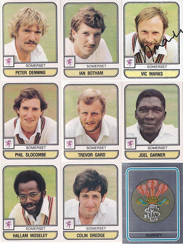 Panini 1983 World Of Cricket Stickers (268)
