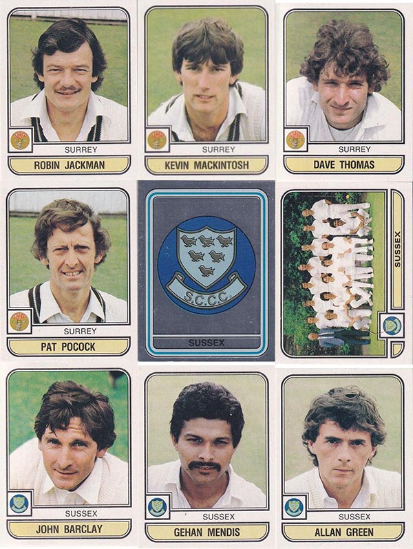 Panini 1983 World Of Cricket Stickers (268)