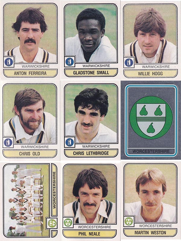 Panini 1983 World Of Cricket Stickers (268)