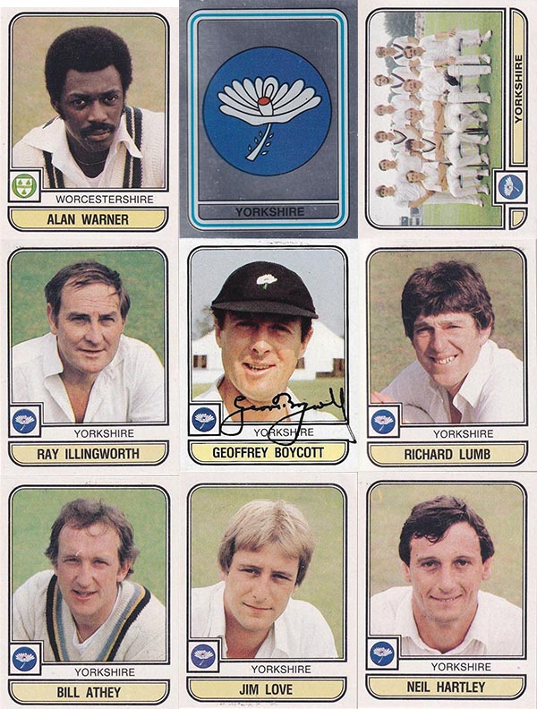 Panini 1983 World Of Cricket Stickers (268)