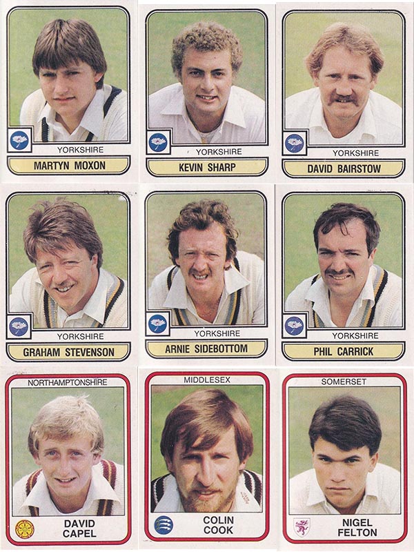 Panini 1983 World Of Cricket Stickers (268)