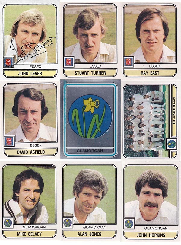 Panini 1983 World Of Cricket Stickers (268)