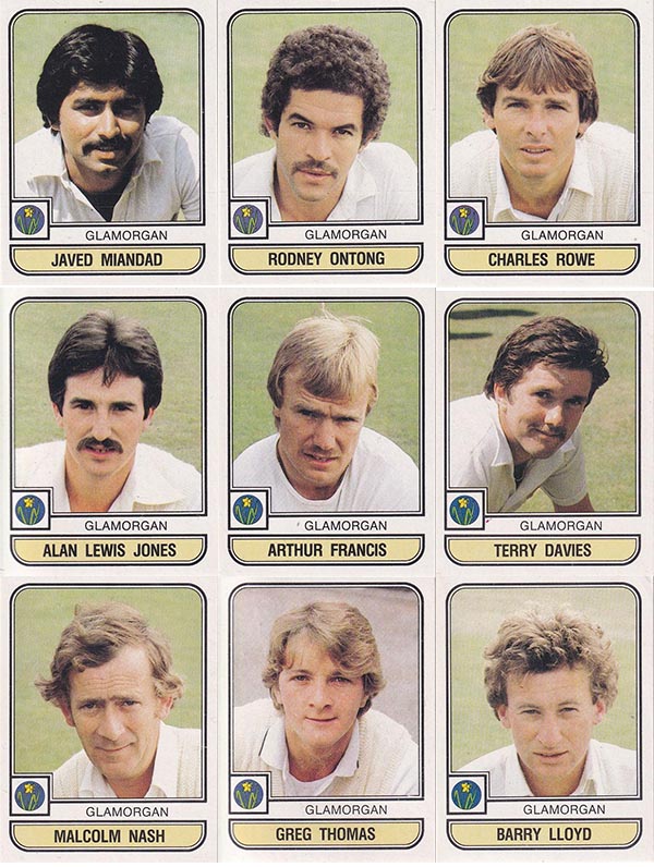 Panini 1983 World Of Cricket Stickers (268)