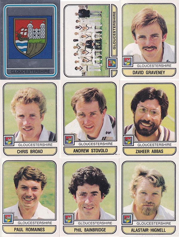Panini 1983 World Of Cricket Stickers (268)