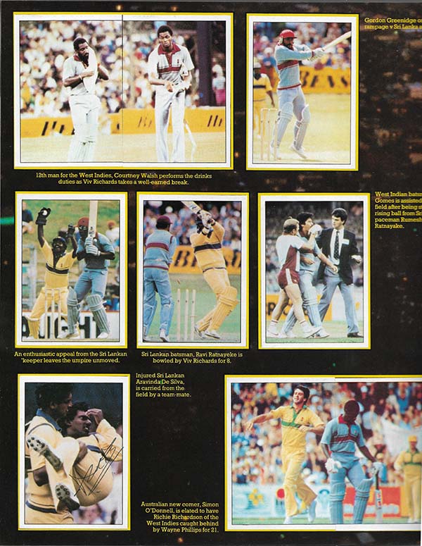 Scanlens 1985-86 Stickers (132)